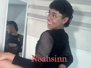 Noahsinn