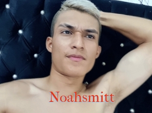 Noahsmitt