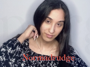Normadrudge