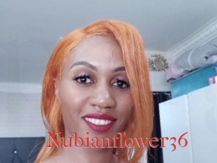 Nubianflower36