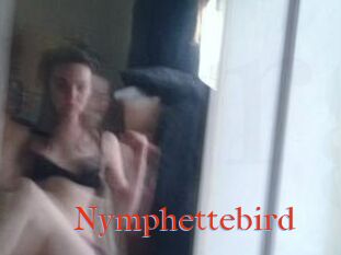 Nymphettebird