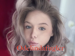 Odelindafugler