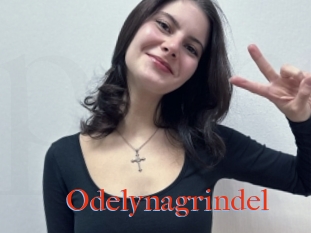 Odelynagrindel