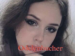 Odelynbucher