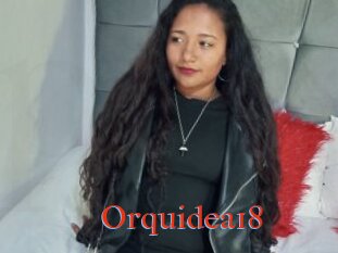 Orquidea18