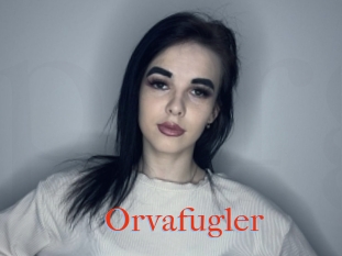 Orvafugler
