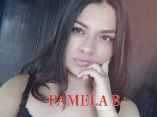 PAMELA_B