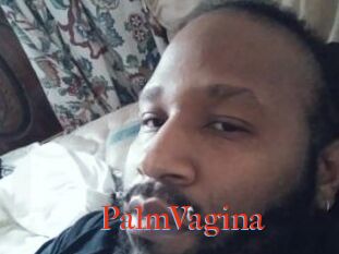 PalmVagina