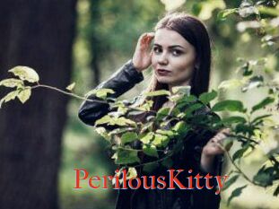 Perilous_Kitty