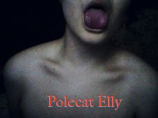 Polecat_Elly