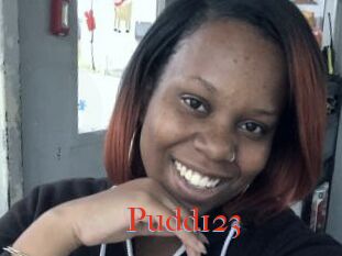 Pudd123