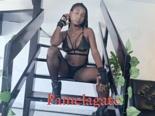 Pamelagate