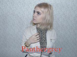 Panthergrey
