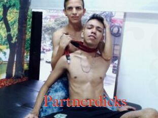 Partnerdicks