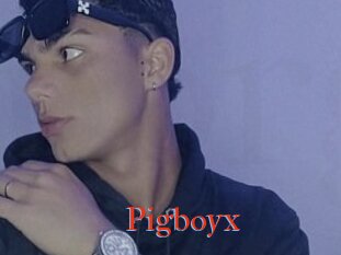 Pigboyx