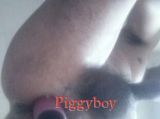 Piggyboy