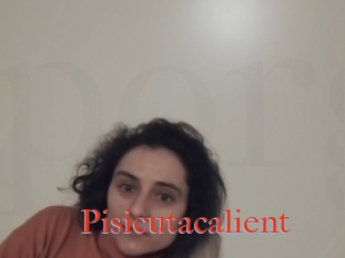 Pisicutacalient