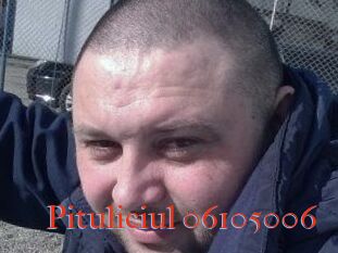Pituliciul-06105006