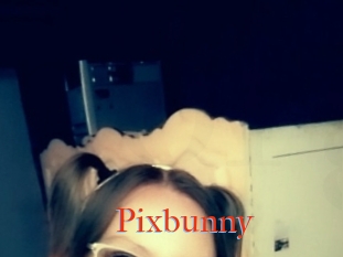 Pixbunny