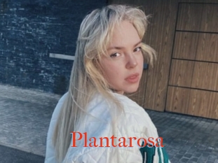 Plantarosa
