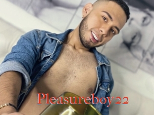 Pleasureboy22