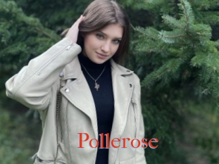 Pollerose