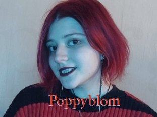 Poppyblom