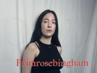 Primrosebingham