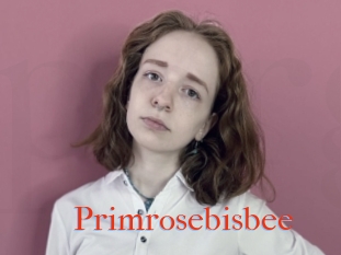 Primrosebisbee