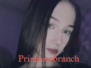 Primrosebranch