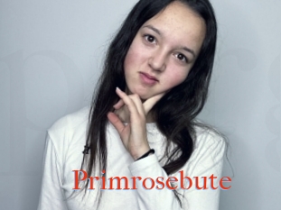 Primrosebute