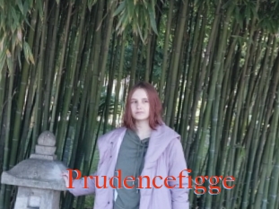 Prudencefigge