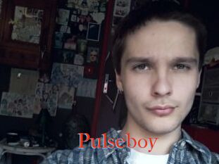 Pulseboy