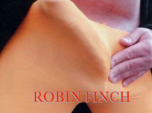 ROBIN_FINCH