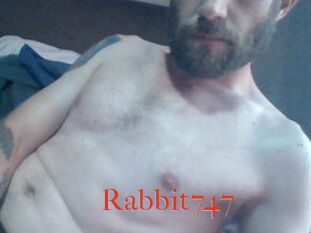 Rabbit747
