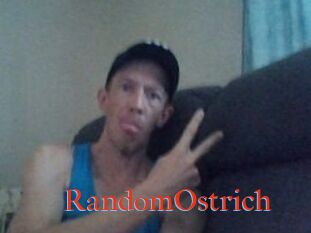 RandomOstrich