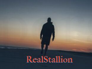 RealStallion