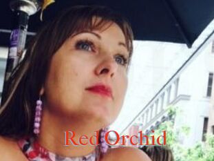 Red_Orchid