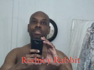 Rodney_Rabbit