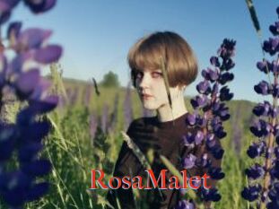 RosaMalet