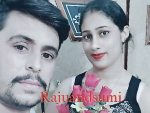 Rajuandsumi