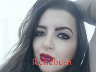 Renebush