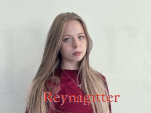 Reynagitter