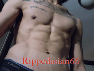 Rippedasian66