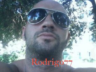 Rodrigo77