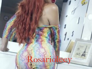 Rosarioleey