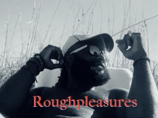 Roughpleasures