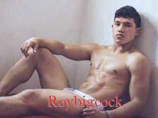 Roybigcock