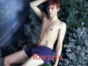Royzein