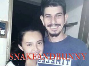 SNAKEANDBUNNY